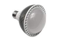 Ampoule Spot LED PAR30 8W