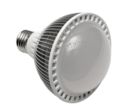 Ampoule Spot LED PAR30 8W