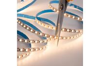 Ruban LED 20M 24V IP20 100LED/M Recoupable à Chaque LED - Blanc Froid 6000K - 8000K