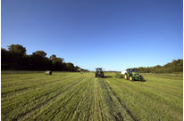 Film agricol AGRISPINFLEX