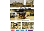 Gallorema en visite chez le Groupe Rossel à Reims !