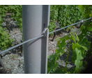 Piquet pour palissage des vignes