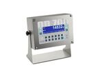 Indicateur de pesage | DD700ic