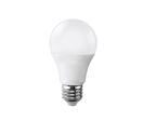 Ampoule E27 LED 15W 220V A65 - Blanc Chaud 2300K - 3500K