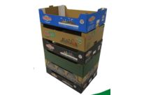 Plateaux en carton ondulé pour Fruits et Légumes