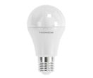 Ampoules LED E27 10W