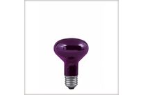 Lumière Noire Standard 75W E27