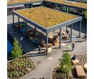 Préau écologique à toiture végétale | Koman Groupe