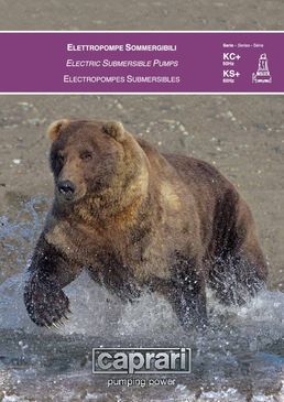 Plaquette pompes d'assainissement