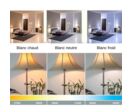 Ampoule E27 LED 25W 220V G140 300° Globe - Blanc Froid 6000K - 8000K