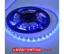 Ruban led tropicalisé étanche : Ruban led IP66 - Bleu - 4,8 W/m - Garantie 2 ans