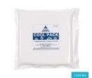 Emballage thermo-sensibles : cool pack CP2020 (x12) 1kg (200mm x 200mm x 35mm) - CODE 862