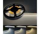 Bandeau LED 24V 5M 2835 IP20 - Blanc Froid 6000K - 8000K / 240 LED/m / Double Rangée