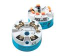 Transmetteur de température en tête de sonde iTEMP® TMT85