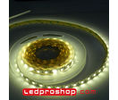 Ruban led tropicalisé étanche : Ruban led de puissance Blanc Neutre 4500°K - 12 W/m - Garantie 2 ans