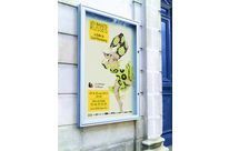 Vitrines d'affichage d'extérieur