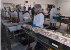 Solutions de conditionnement | Dorner