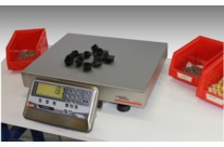 Balances industrielles Gamme C20 R1-S