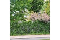 Cloison végétale insonorisante pour aménagement extérieur