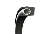 Joint de piston Turcon Variseal W2