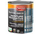 Peinture antirouille décorative tous supports : RUSTOL DECO