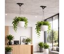 Pontet Inox sur Platine