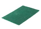 Scouring Pads, Pack Of 10