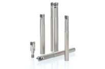 Fraises Grande Avances | TungForceFeed 