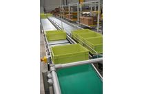 Convoyeur à rouleaux motorisés