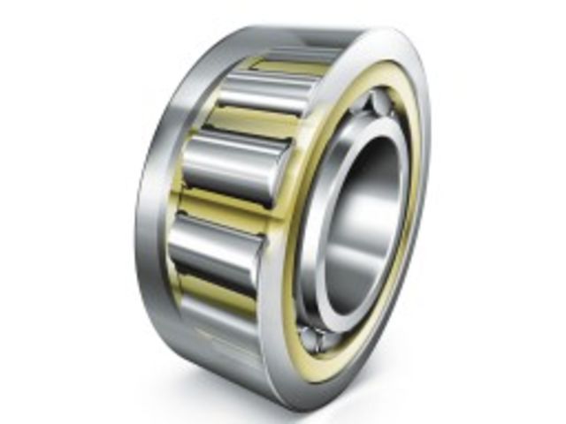 Roulements à rouleaux cylindriques X-life