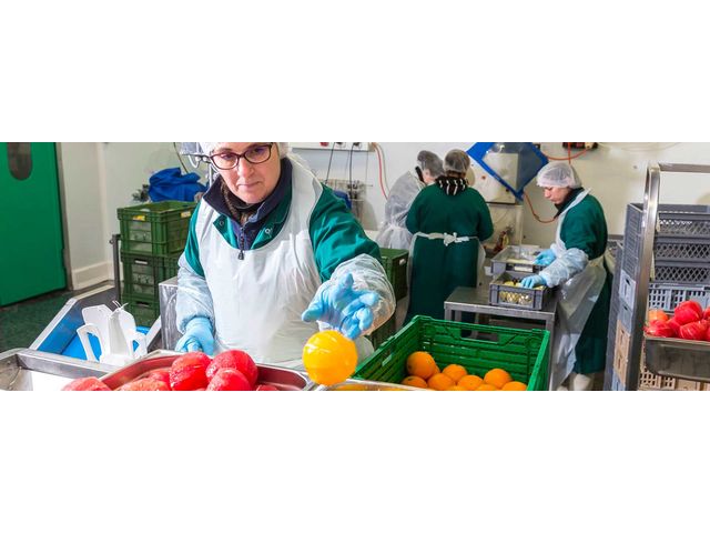Logiciel ERP fruits et légumes frais