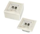 Prise murale 2 x RJ45 Cat. 6A, blanc, entrée de câble verticale