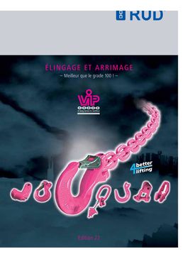 Elingage chaînes de levage et accessoire d'arrimage (crochets, tendeurs, manille, anneau, ...) en Grade 100