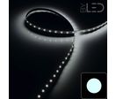 Ruban IP68 3528 - Blanc - 4,8W/m - 60 LED/m - 5m - Référence ST-3528-60-68-24V-CW