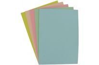 Sous-chemises Business 60 gr  assortis paquet de 250