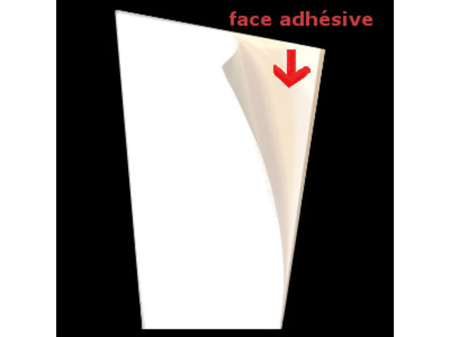 Carton auto-adhésif