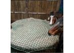 Filet pour balle de foin ronde - Mailles : 100x100 / Hauteur : 1.9 mètres / Diamètre : 1.6 mètres