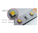 Bande LED CCT 3 en 1