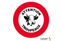 Panneau Attention troupeaux - Novap