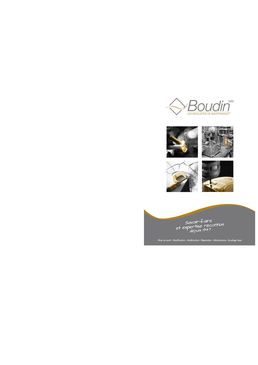 BOUDIN SAS - Les Moulistes De Maintenance°