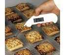 Thermomètre à sonde Gourmet FTP 