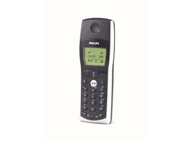 Téléphone sans fil: DECT C244
