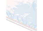Minigrip - Sachet Zip Plastique Transparent 300x400mm - 100µm - Trou Aération - Usage Alimentaire