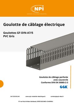 Goulottes de câblage industrielles