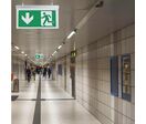 Éclairage de Secours LED Suspendu à Fixer 2W 3h Batterie avec Pictogrammes - Blanc Froid 6000K