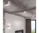 Plafonnier 2 Spots pour Ampoule GU10 - Noir