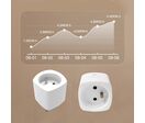 Prise Connectée Wi-Fi Simple 16A avec Timer et Compteur de Consommation