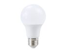 Ampoule E27 LED 8.5W A60 - Pack de 10 - Blanc Froid 6000K - 8000K