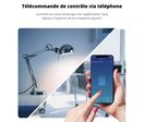 Module Interrupteur Zigbee