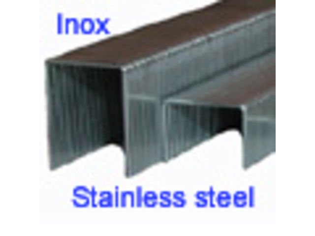Agrafes 53 ou 530 - 6mm - Inox : Ag5306i